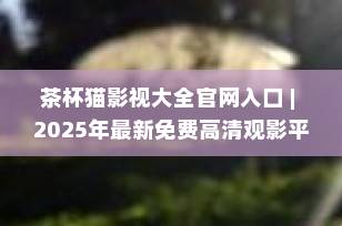 茶杯猫影视大全官网入口 | 2025年最新免费高清观影平台推荐
