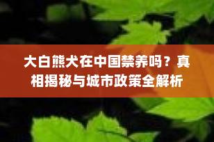 大白熊犬在中国禁养吗？真相揭秘与城市政策全解析