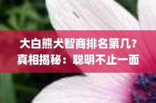 大白熊犬智商排名第几？真相揭秘：聪明不止一面！