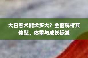 大白熊犬能长多大？全面解析其体型、体重与成长标准