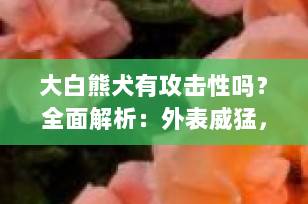 大白熊犬有攻击性吗？全面解析：外表威猛，内心温柔的守护者