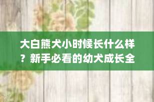 大白熊犬小时候长什么样？新手必看的幼犬成长全攻略！