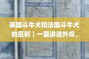 英国斗牛犬和法国斗牛犬的区别｜一篇讲透外观、性格、饲养全对比（2025最新版）