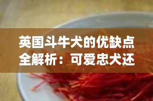 英国斗牛犬的优缺点全解析：可爱忠犬还是麻烦“鼻炎大户”？养前必看！