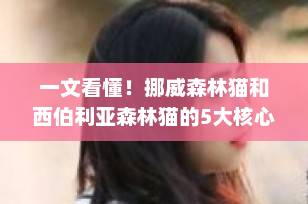一文看懂！挪威森林猫和西伯利亚森林猫的5大核心区别（附选购避坑指南）
