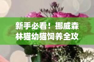 新手必看！挪威森林猫幼猫饲养全攻略：挑选、护理与喂养指南（2025最新版）