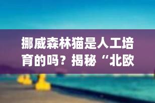 挪威森林猫是人工培育的吗？揭秘“北欧精灵”的真实起源与演变史