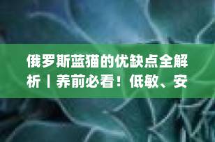 俄罗斯蓝猫的优缺点全解析｜养前必看！低敏、安静又聪明，但也有这些“小脾气”？