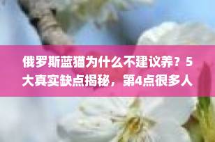俄罗斯蓝猫为什么不建议养？5大真实缺点揭秘，第4点很多人后悔没早知道！