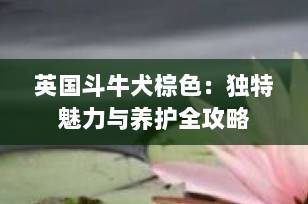 英国斗牛犬棕色：独特魅力与养护全攻略