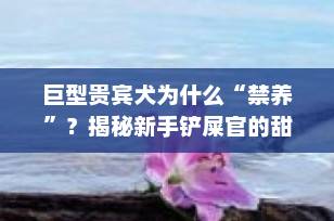 巨型贵宾犬为什么“禁养”？揭秘新手铲屎官的甜蜜陷阱