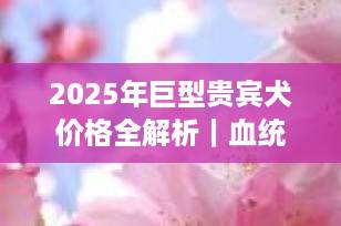 2025年巨型贵宾犬价格全解析｜血统、地区与养护成本深度揭秘