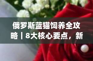 俄罗斯蓝猫饲养全攻略｜8大核心要点，新手养猫必看！