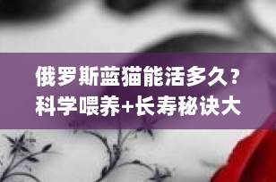 俄罗斯蓝猫能活多久？科学喂养+长寿秘诀大公开，轻松陪伴你20年！
