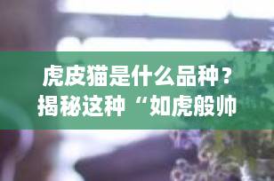 虎皮猫是什么品种？揭秘这种“如虎般帅气”的独特猫咪