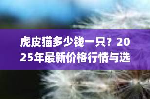虎皮猫多少钱一只？2025年最新价格行情与选购指南