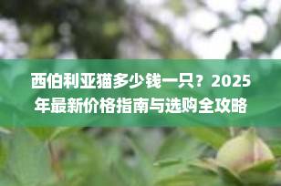 西伯利亚猫多少钱一只？2025年最新价格指南与选购全攻略