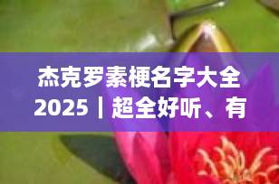 杰克罗素梗名字大全2025｜超全好听、有趣、霸气的杰克罗素取名指南，附命名灵感与技巧！