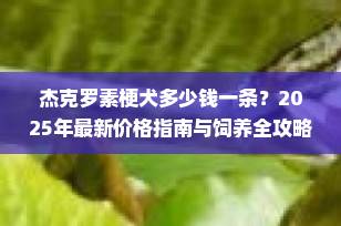 杰克罗素梗犬多少钱一条？2025年最新价格指南与饲养全攻略