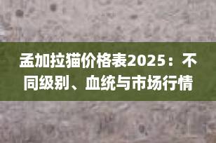 孟加拉猫价格表2025：不同级别、血统与市场行情全解析