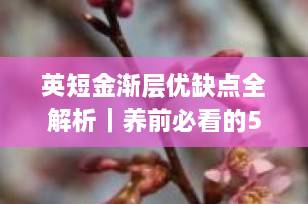 英短金渐层优缺点全解析｜养前必看的5大优点和4个潜在问题（2025最新指南）