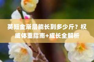 英短金渐层能长到多少斤？权威体重指南+成长全解析