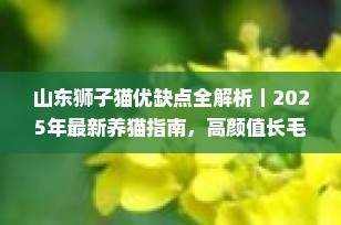山东狮子猫优缺点全解析｜2025年最新养猫指南，高颜值长毛猫值得入手吗？