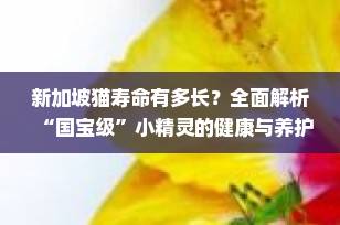新加坡猫寿命有多长？全面解析“国宝级”小精灵的健康与养护秘诀