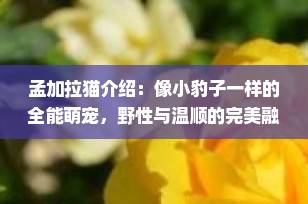 孟加拉猫介绍：像小豹子一样的全能萌宠，野性与温顺的完美融合