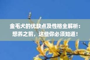 金毛犬的优缺点及性格全解析：想养之前，这些你必须知道！