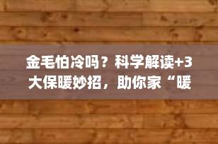 金毛怕冷吗？科学解读+3大保暖妙招，助你家“暖男”安然过冬