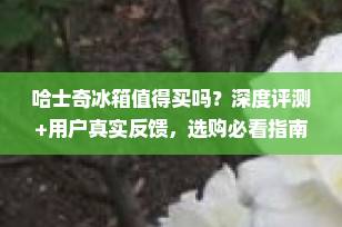 哈士奇冰箱值得买吗？深度评测+用户真实反馈，选购必看指南（2025年更新）
