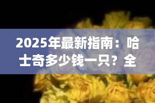2025年最新指南：哈士奇多少钱一只？全面解析价格背后的真相