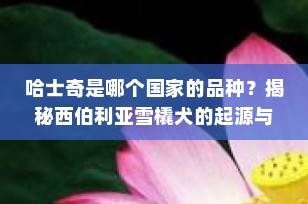 哈士奇是哪个国家的品种？揭秘西伯利亚雪橇犬的起源与魅力