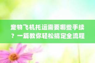 宠物飞机托运需要哪些手续？一篇教你轻松搞定全流程！（2025最新指南）