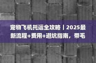 宠物飞机托运全攻略｜2025最新流程+费用+避坑指南，带毛孩子安心飞！