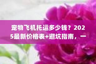宠物飞机托运多少钱？2025最新价格表+避坑指南，一篇说清楚！