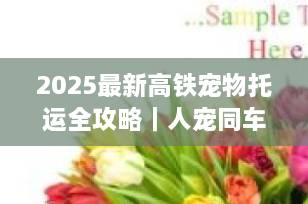 2025最新高铁宠物托运全攻略｜人宠同车、单飞模式、费用保险一文讲清！
