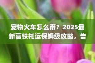 宠物火车怎么带？2025最新高铁托运保姆级攻略，告别出行焦虑！