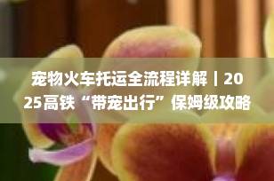 宠物火车托运全流程详解｜2025高铁“带宠出行”保姆级攻略，收藏必看！