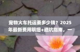 宠物火车托运要多少钱？2025年最新费用明细+避坑指南，一篇讲清！