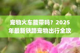 宠物火车能带吗？2025年最新铁路宠物出行全攻略（附托运流程+注意事项）
