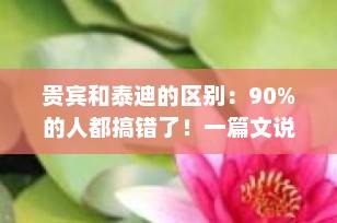 贵宾和泰迪的区别：90%的人都搞错了！一篇文说清真相