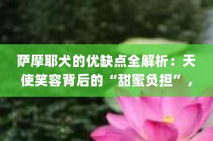 萨摩耶犬的优缺点全解析：天使笑容背后的“甜蜜负担”，你准备好了吗？