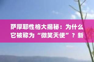 萨摩耶性格大揭秘：为什么它被称为“微笑天使”？新手养犬必看！