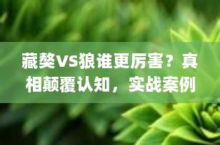 藏獒VS狼谁更厉害？真相颠覆认知，实战案例+数据对比全解析！