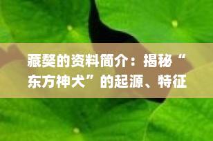 藏獒的资料简介：揭秘“东方神犬”的起源、特征与科学饲养指南