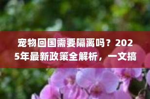 宠物回国需要隔离吗？2025年最新政策全解析，一文搞定免隔离条件！