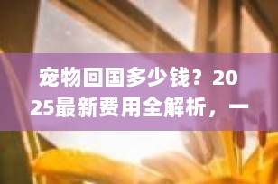宠物回国多少钱？2025最新费用全解析，一篇看懂不花冤枉钱！