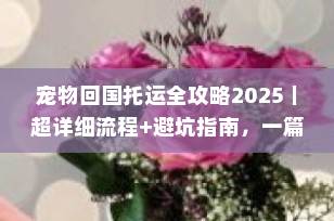 宠物回国托运全攻略2025｜超详细流程+避坑指南，一篇搞定！